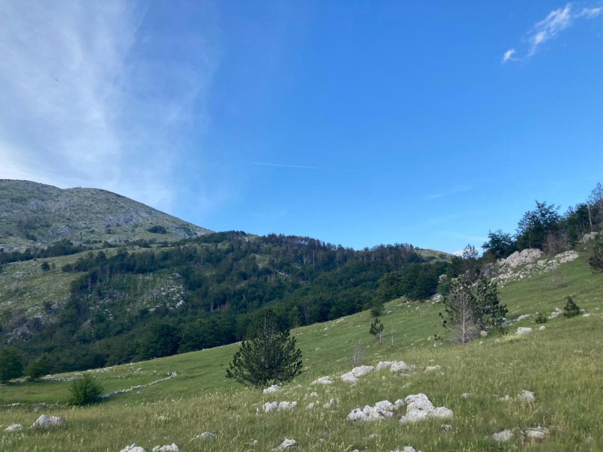 Ledenice Mountain House Varda מראה חיצוני תמונה