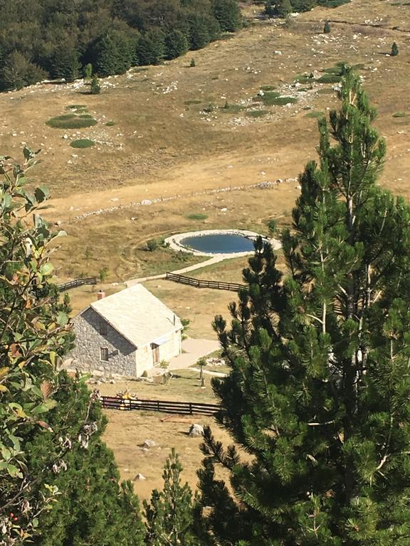 Ledenice Mountain House Varda מראה חיצוני תמונה