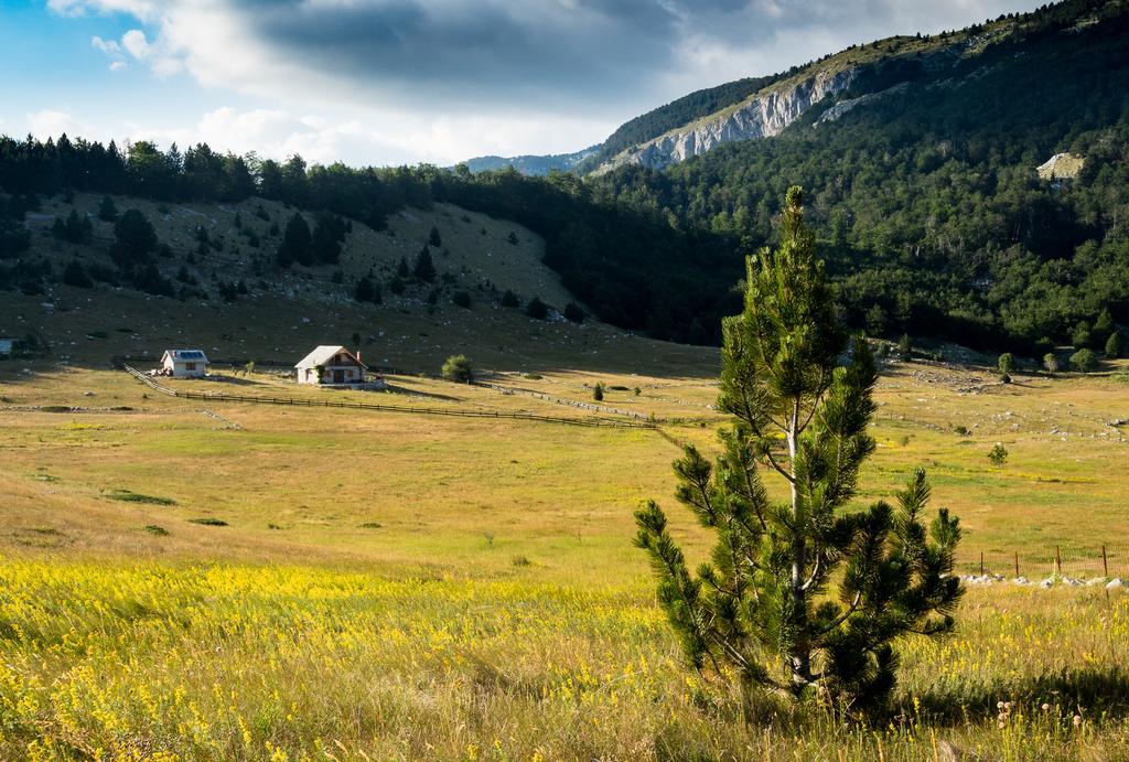 Ledenice Mountain House Varda מראה חיצוני תמונה